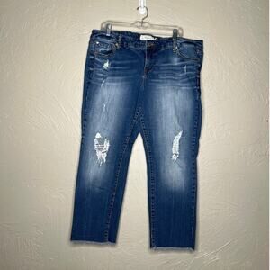 Torrid Plus Size 18R Blue Distressed Capri Jeans